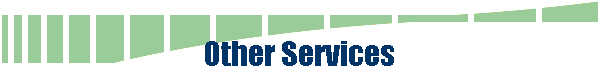 Other Services